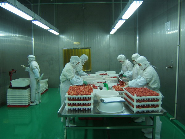 生鮮物流冷庫(kù)冷鏈在零售企業(yè)的重要性及制勝關(guān)(圖1) 生鮮物流冷庫(kù)冷鏈在零售企業(yè)的重要性及制勝關(guān)(圖1)